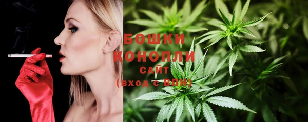 дмт Бронницы