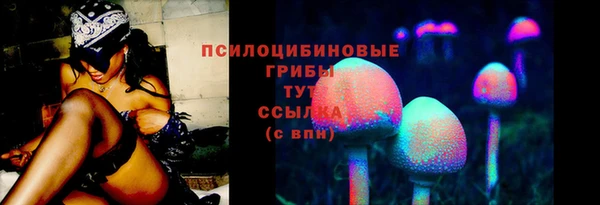 дмт Бронницы