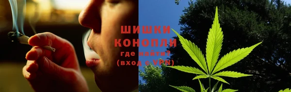 ПСИЛОЦИБИНОВЫЕ ГРИБЫ Белокуриха