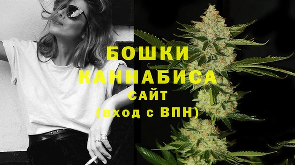 дмт Бронницы