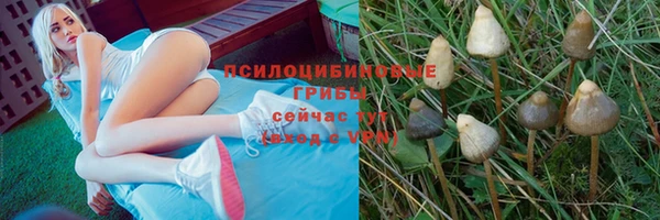 героин Бородино