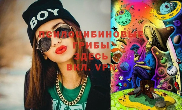 дмт Бронницы