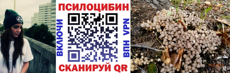 как найти наркотики  Горнозаводск  Псилоцибиновые грибы GOLDEN TEACHER 